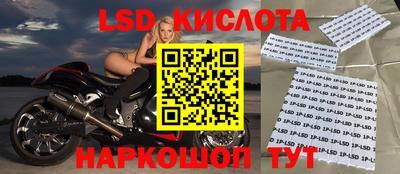 твердый Можга