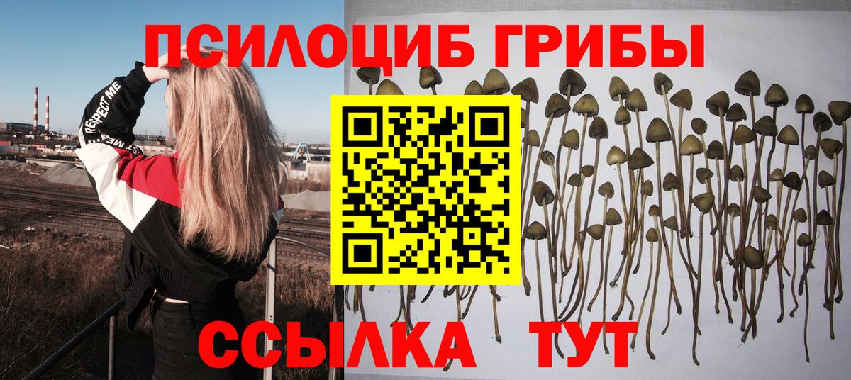 Димитровград  Псилоцибиновые грибы мицелий  Псилоцибиновые грибы ЛСД  Вход с VPN 