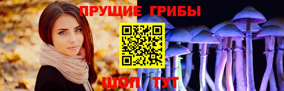 Псилоцибиновые грибы Psilocybine cubensis Димитровград